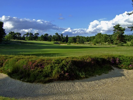 Wide Bunker Heather