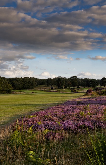 Walton Heath Old 5Th Copy 2