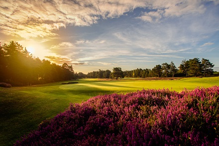 Sunningdale Gc New Course 4Th