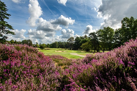 Sunningdale Gc Old Course 13Th