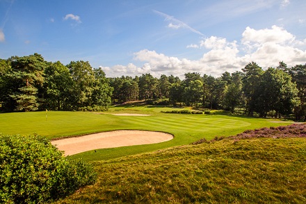 Sunningdale Gc Old Course 8Th