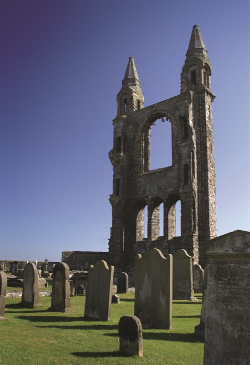 Cathedral (1) (3)