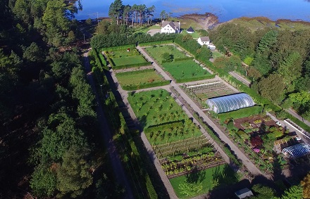 Aerial Kitchen Garden
