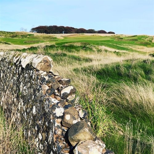 Dumbarnie Feature