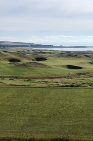 Dumbarnie Portrait