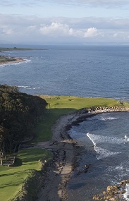 Kingsbarns Portrait