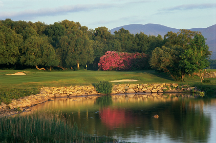 3Rd Killeen Par 31359X899