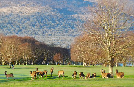 Killarney Golf Fishing Club