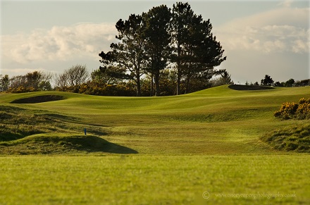 Hole 8 Portland Course