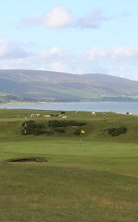 Rhbrora