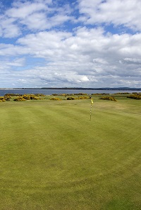 Rhfortrose