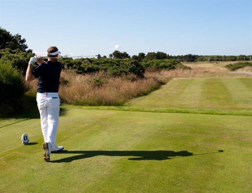 Golfer Teeing Off