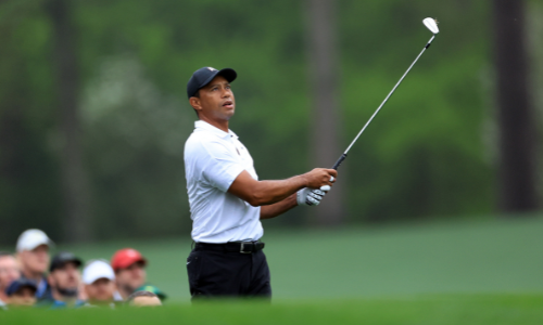 Woods