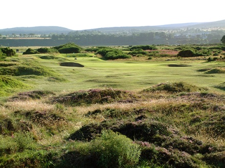 Tain Golf Club 8Th