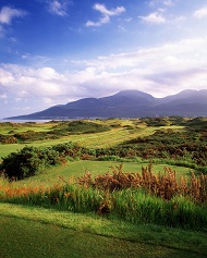 Rightroyalcountydown4v